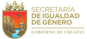 Secretaría de Igualdad de Género